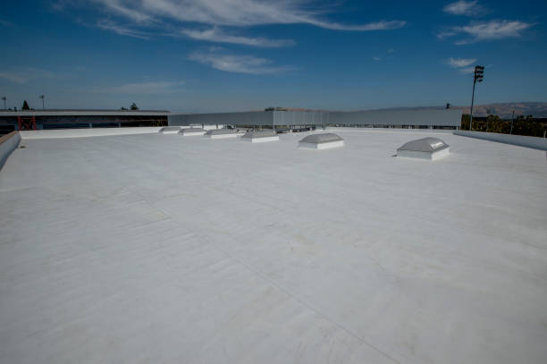 Best Roof Coating and Sealing  in Hilltop, SC