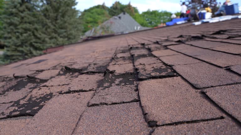 Best Storm Damage Roof Repair  in Hilltop, SC